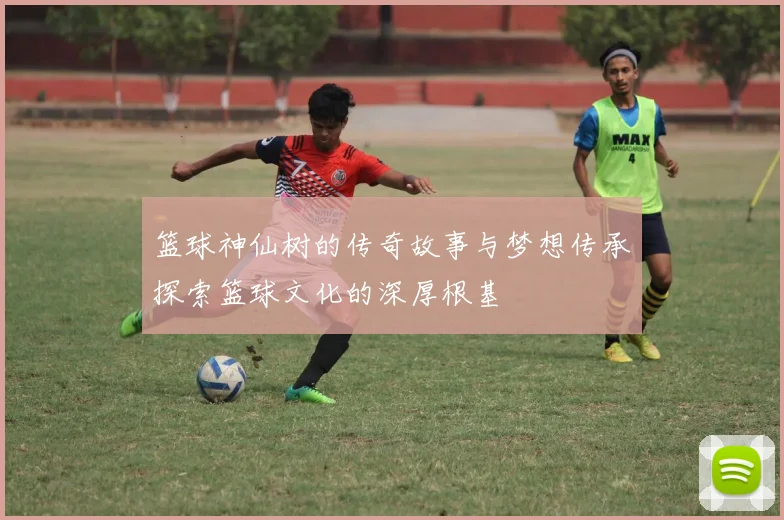 篮球神仙树的传奇故事与梦想传承探索篮球文化的深厚根基