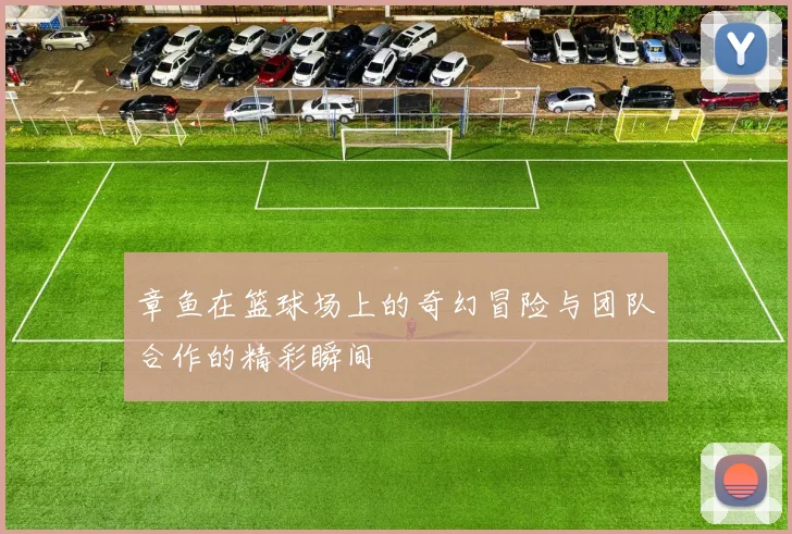 章鱼在篮球场上的奇幻冒险与团队合作的精彩瞬间