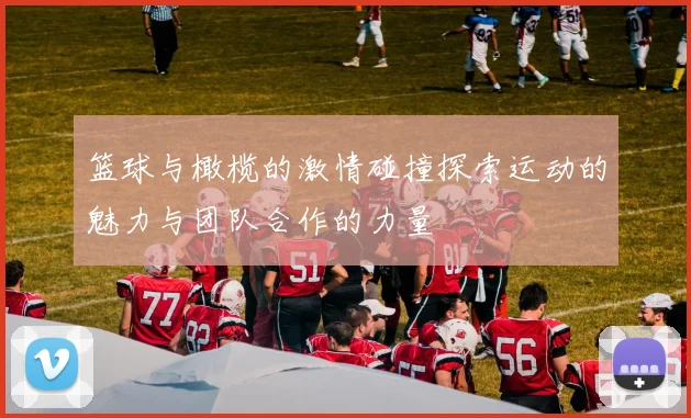 篮球与橄榄的激情碰撞探索运动的魅力与团队合作的力量