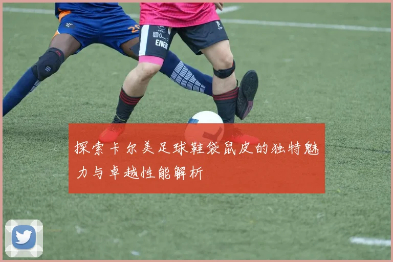 探索卡尔美足球鞋袋鼠皮的独特魅力与卓越性能解析