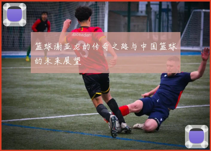 篮球谢亚龙的传奇之路与中国篮球的未来展望