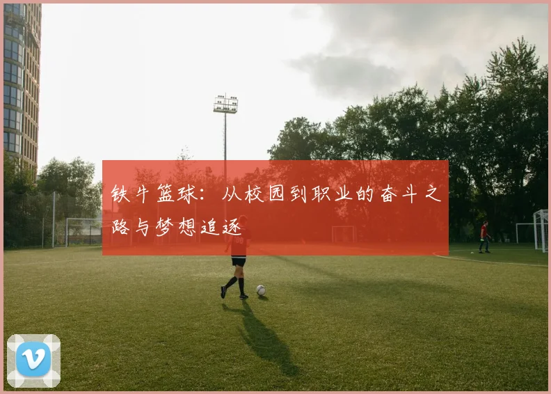 铁牛篮球：从校园到职业的奋斗之路与梦想追逐
