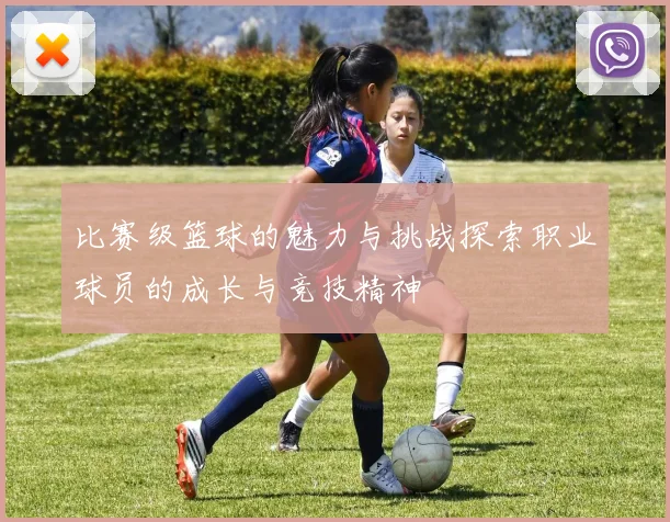 比赛级篮球的魅力与挑战探索职业球员的成长与竞技精神